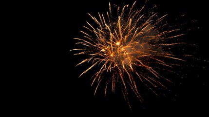 Obraz premium Fireworks Display: Colorful fireworks exploding in the night sky, creating beautiful patterns.