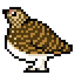 Fototapeta premium ドット絵, アニマルイラスト, ニホンライチョウのメス, 夏羽