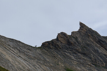 Mountains with suede in the background