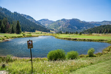 Fishing prohibited sign near a mountain lake in California - NO FISHING. The day is sunny.