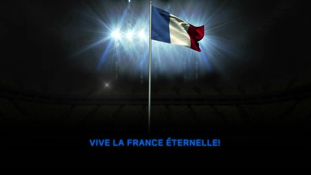 Animation of vive la france eternelle text with french flag