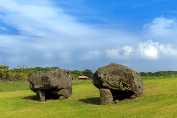 Dolmens on the grass of Jeju Stone Park at Jeju-si near Jejudo Island, South Korea