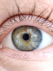 Eye close-up macro photography. Green eye. Gray eye. Blue eye.