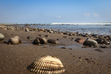 Beautiful shoreline at El Tunco, El Salvador showcasing shells and rocks under a clear blue sky