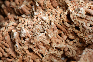 Spaghetti stone - natural sea rock for garden or aquarium decoration