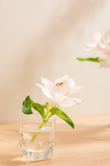 Beautiful Alstroemeria in warm lighting background. White and wooden surface. Light and Shadow wallpaper. Space for text. Backdrop. Studio photography. Cozy wallpaper. Empty space. Blossom Flower.
