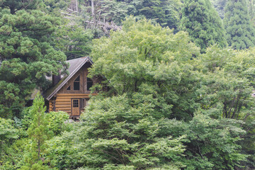 Fototapeta premium house in forest