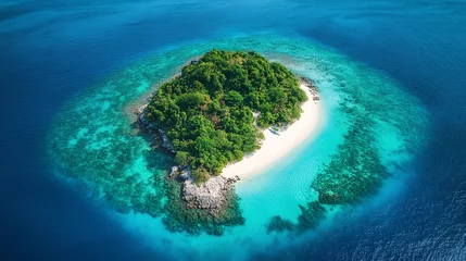 Gardinen Aerial view of a tropical island with a white sand beach surrounded by crystal clear blue water. © BozStock