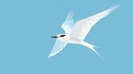 Fototapeta premium A white seabird flies against a clear blue sky.