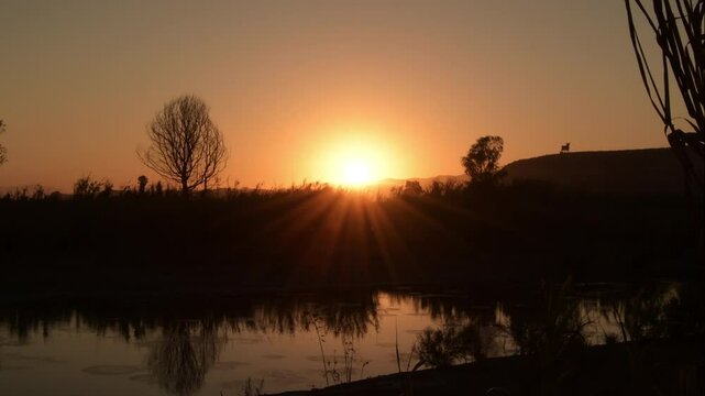 Sunset in a river with ducks, Velez Malaga, Spain