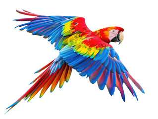 Obraz premium colorful parrot flying isolated on white or transparent png