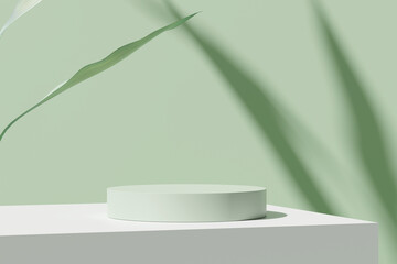 Product display podium with nature leaves on green background. 3D rendering	
