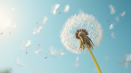 Obraz premium A close-up of a dandelion in the wind, with seeds floating away softly against a clear blue sky