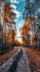 The road is lined with birch trees, the sunset's glow illuminates the autumn leaves on the ground