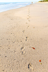 Footsteps footprints in sand sandy beach, walking away leaving journey travel, tropical holiday vacation, deserted peaceful solitude, Queensland Australia