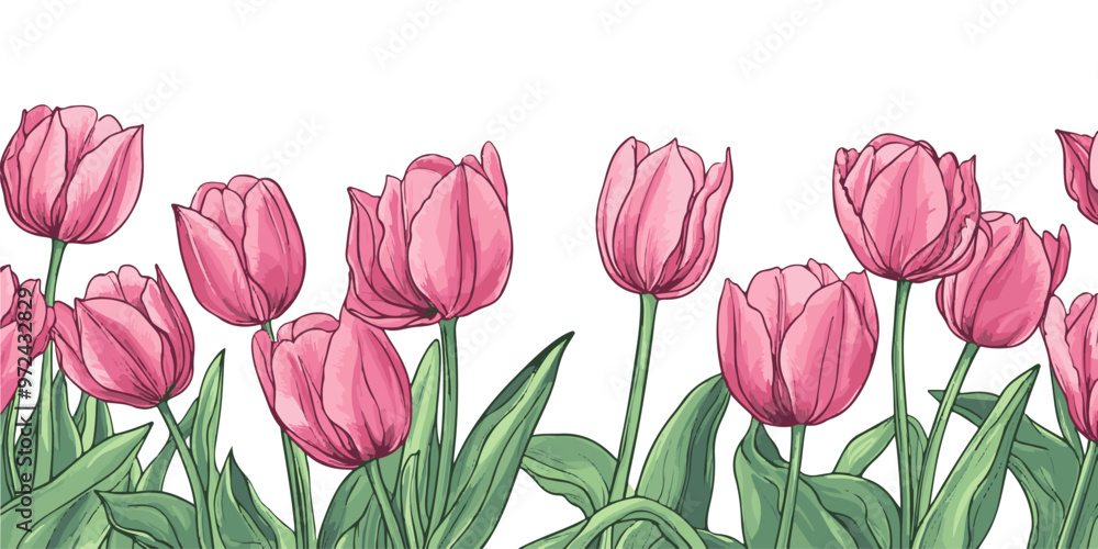 Wall mural vector illustration of tulips border with copy space on a white background.