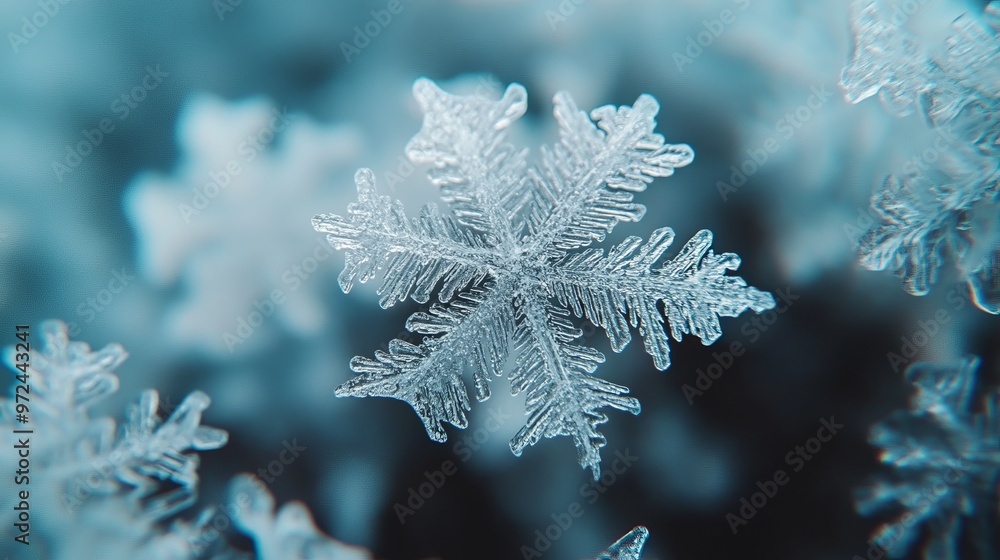 Poster close-up of fresh snowflakes on a frosty window, with intricate patterns and a cold, transparent tex