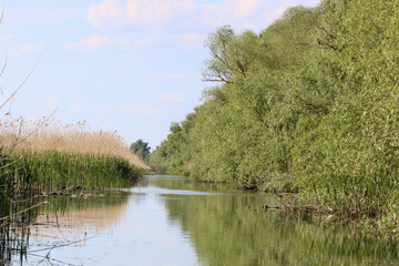 Danube delta - beauty of the river channels