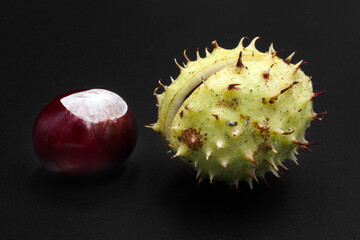 Chestnuts, a synonym of the coming autumn.
