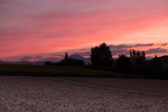 Coucher de soleil au champ