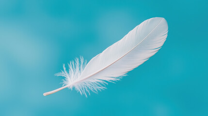 Obraz premium A delicate white feather floats gracefully against a serene blue background, symbolizing purity and lightness.