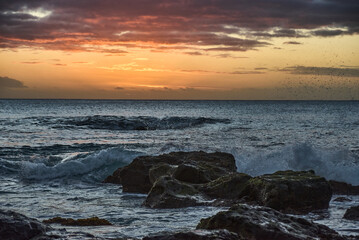 Beautiful sunset over the ocean