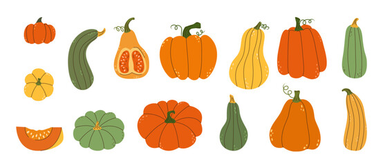 Set of various pumpkins in flat style. Autumn harvest time. Design elements for decoration. Fall ripe vegetable.