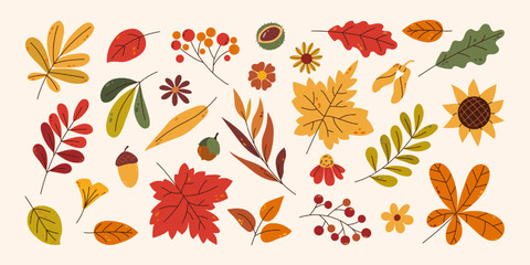 Autumn collection various leaves and flowers in flat vector style. Leaf of maple, oak, chestnut, rowan. Design elements for card, poster, pattern, banner or background.