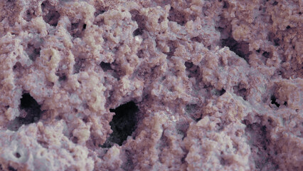 A stone formed by the fusion of minerals. Close-up of a heavily textured stone