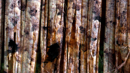 Stone texture blended inside bamboo branches