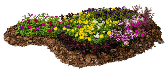 Isolated landscape design element with soil covered in bark mulch and colorful natural garden...