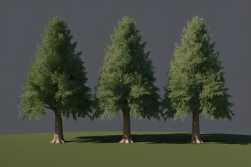 Fototapeta premium Understanding the Concept of Nothingness in Philosophy