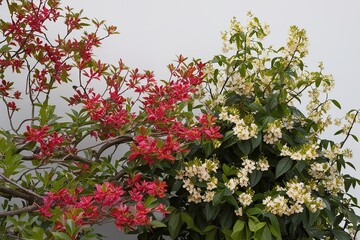 Empty or Lacking Content Explained