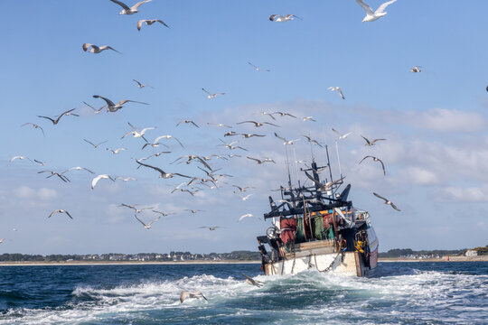 Retour de p&ecirc;che