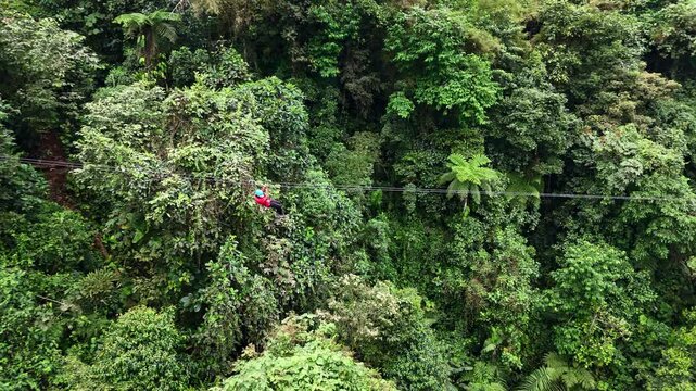 Slow aerial pan of a zipline ride cutting through the dense green jungle canopy in Mindo, Ecuador with adventurer soaring above forest