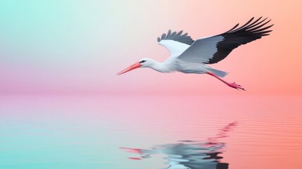 Obraz premium On a pale blue background, a cute baby stork flies over the water.