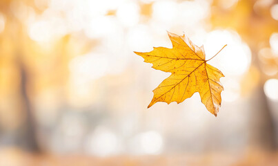 A vibrant yellow leaf falling gently through the air, with a soft blur of autumn trees in the background, capturing the essence of the fall season with warm colors and a peaceful atmosphere.

