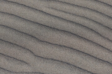 sand ripples in the sand
