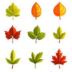 Fototapeta premium Set of icon autumn leaves on a white background. Vector illustration.