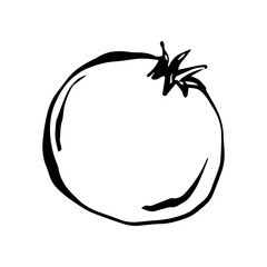 Pomegranate doodle drawing, sketch style, fruit vector illustration, black line, isolated on white background