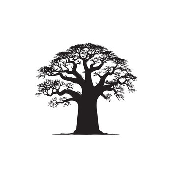 African baobab tree vector design. African baobab tree silhouette isolated on white background.