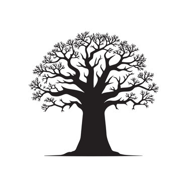 African baobab tree vector design. African baobab tree silhouette isolated on white background.