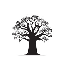 African baobab tree vector design. African baobab tree silhouette isolated on white background.