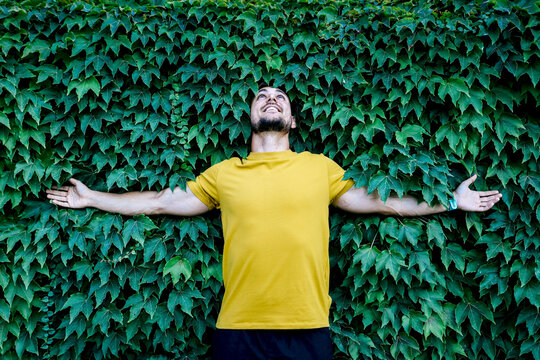 Man in yellow t-shirt embracing lush green ivy wall