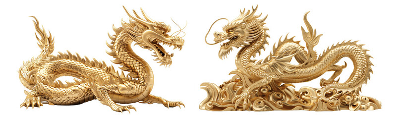 Fototapeta premium gold dragon