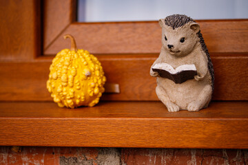 hedgehog figurine, smart hedgehog, reading hedgehog © TomaszGwóźdźFoto