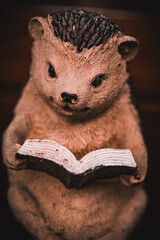 hedgehog figurine, smart hedgehog, reading hedgehog © TomaszGwóźdźFoto