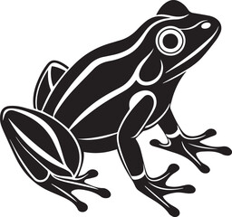  Frog hand drawn art on white background, vector illustration.