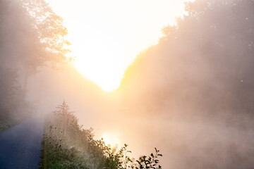 A tranquil sunrise gently illuminates a misty river, beautifully surrounded by lush greenery and soft golden hues
