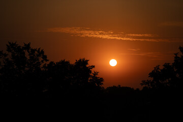 the morning sun in an orange sky. dark trees in the background